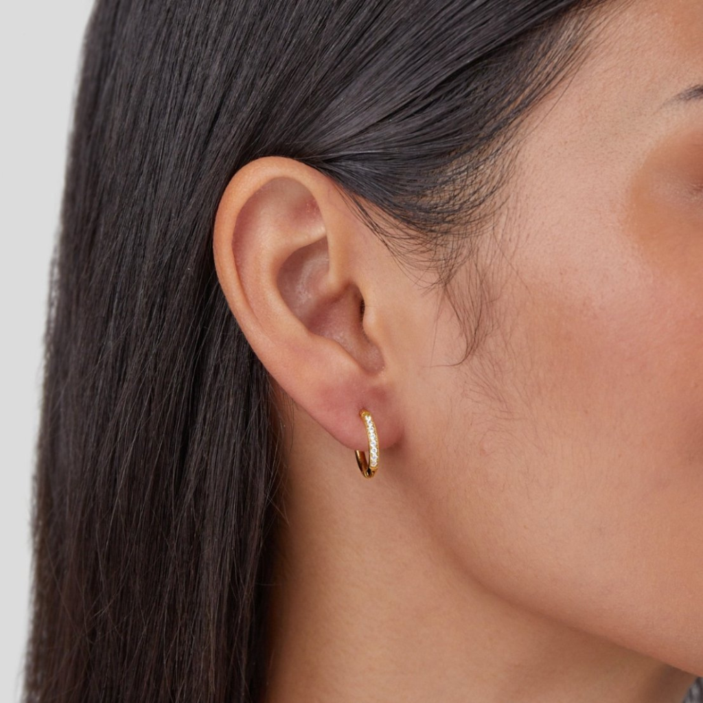 Hoop Earrings with Crystal Pave Band