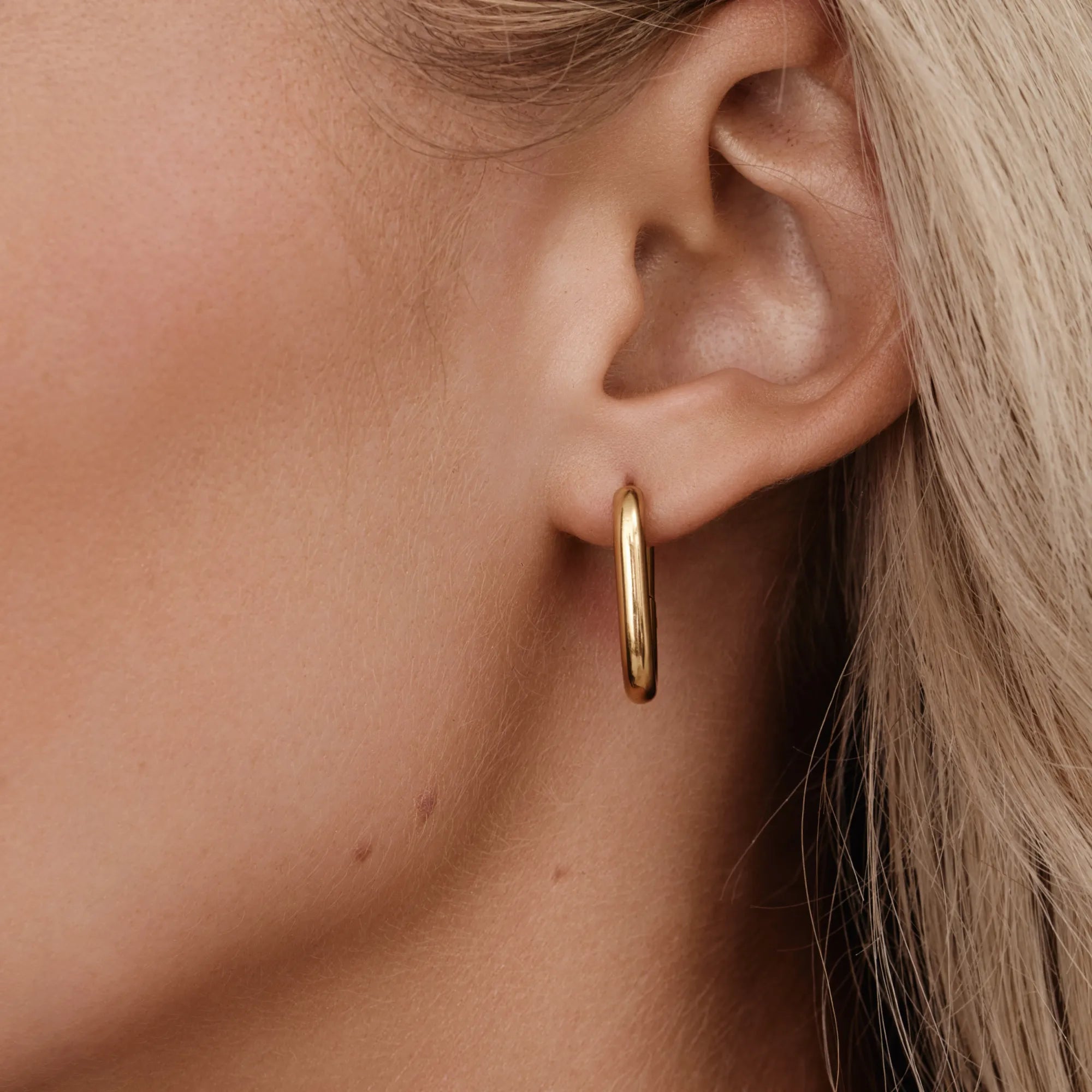 Gold Everyday Essential Hoop Earrings